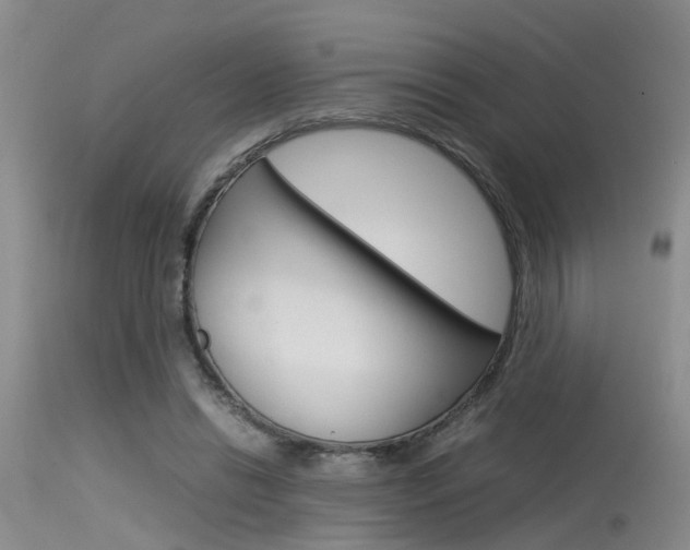 X0000115540446200911061154