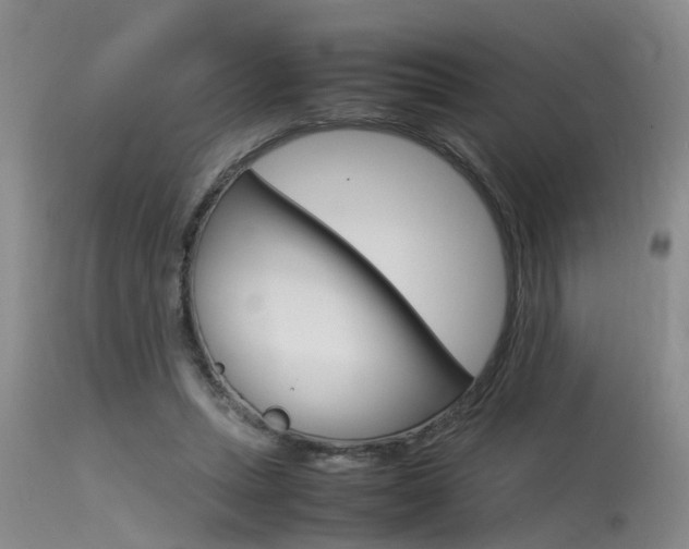 X0000115540447200911061154