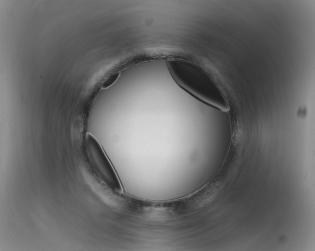 X0000115540448200911061154