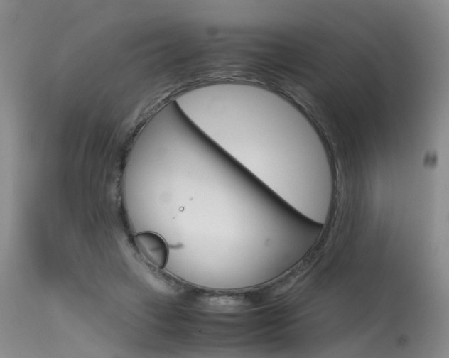 X0000115540449200911061154