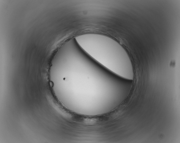 X0000115540450200911061154