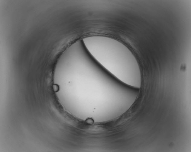 X0000115540451200911061154