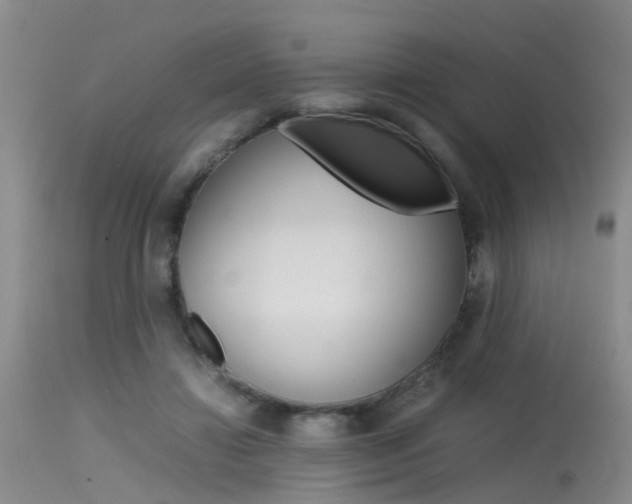 X0000115540452200911061154