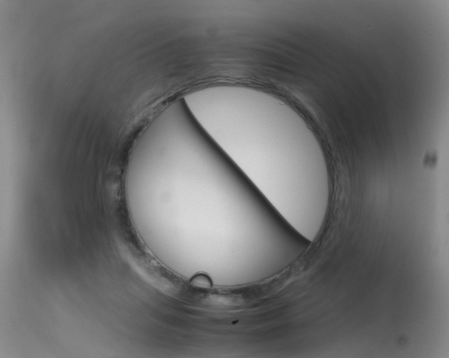 X0000115540455200911061154