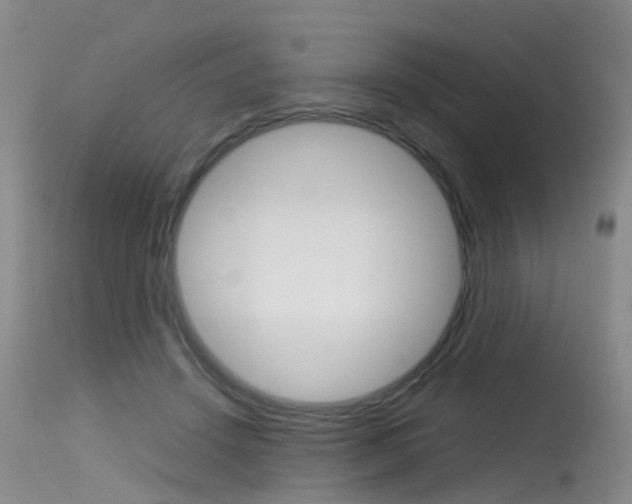 X0000115540456200911061154