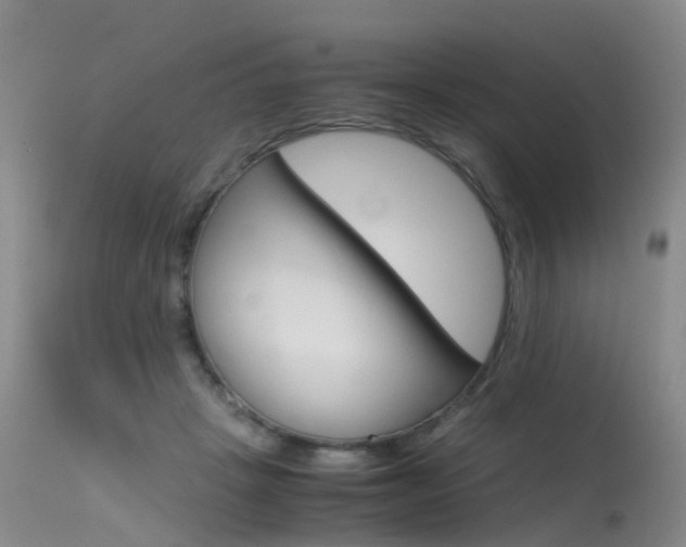 X0000115540457200911061154