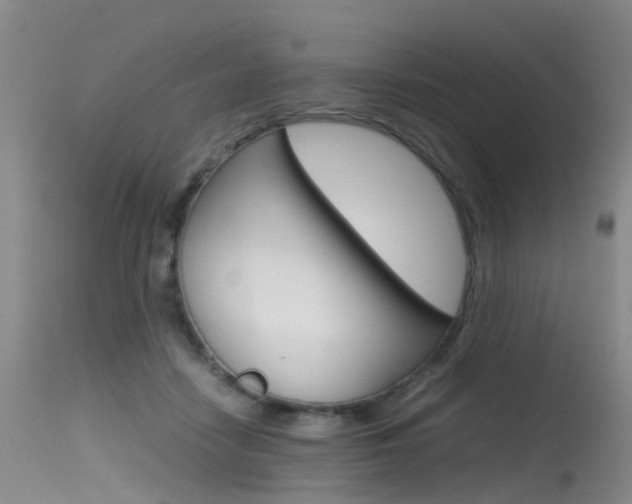 X0000115540458200911061154