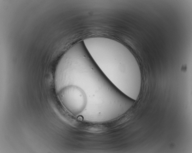 X0000115540459200911061154