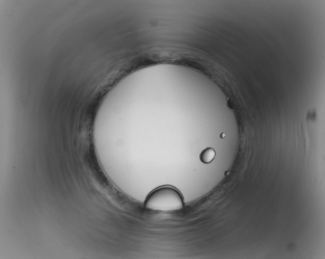 X0000115540460200911061154