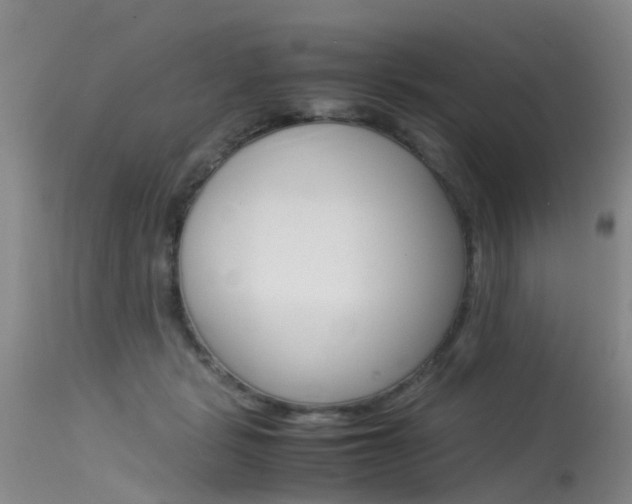 X0000115540461200911061154