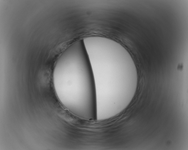 X0000115540463200911061154