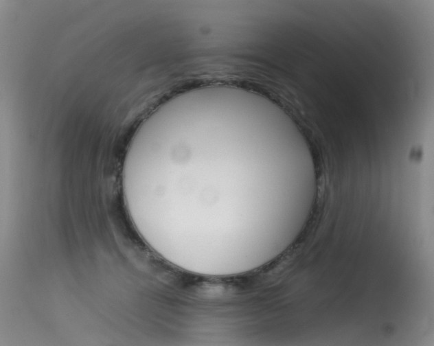 X0000115540464200911061154