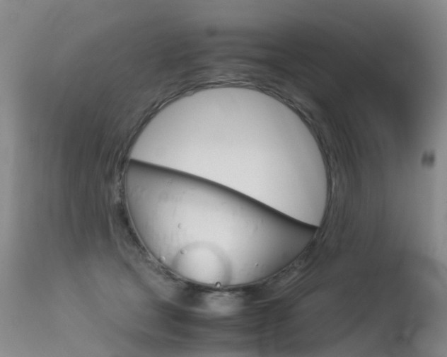 X0000115540465200911061154