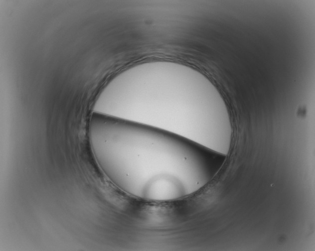 X0000115540466200911061154