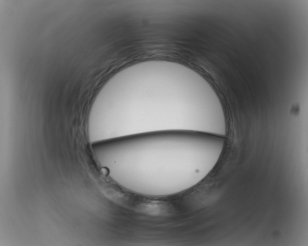 X0000115540467200911061154