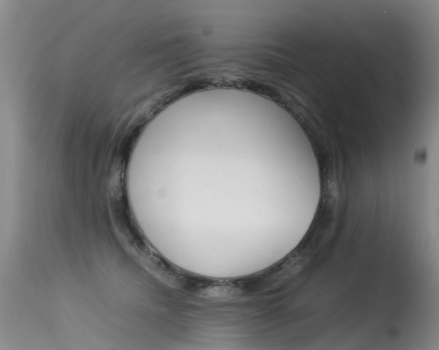 X0000115540468200911061154