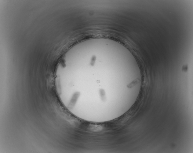 X0000115540469200911061154