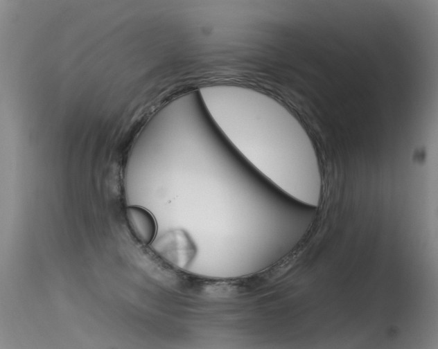 X0000115540470200911061154