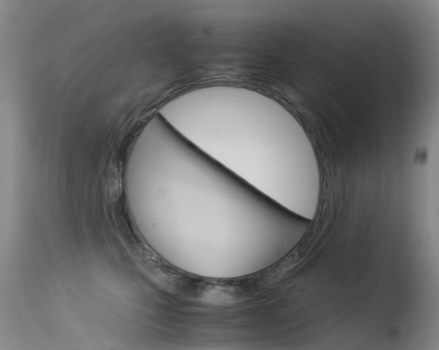 X0000115540471200911061154