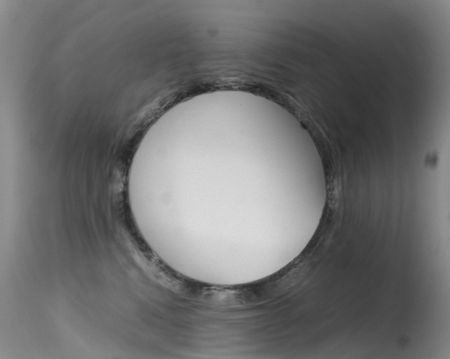 X0000115540472200911061154