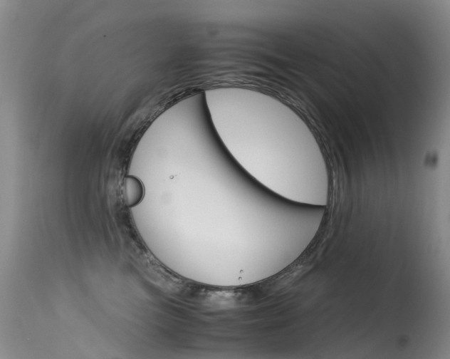 X0000115540473200911061154