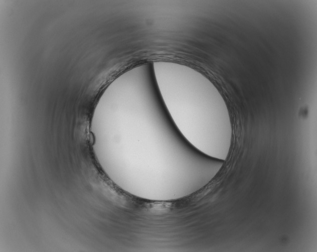 X0000115540474200911061154