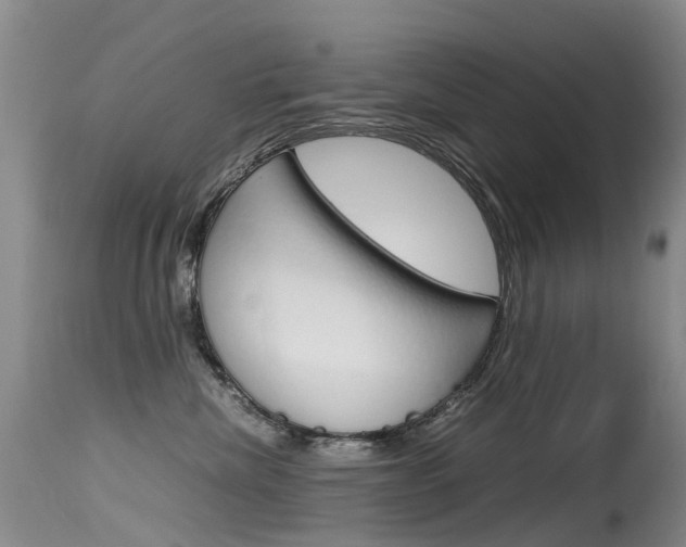 X0000115540476200911061154