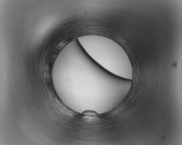 X0000115540477200911061154