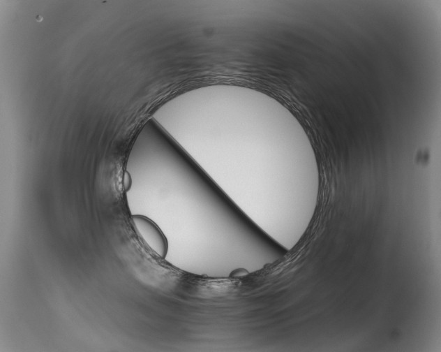 X0000115540479200911061154