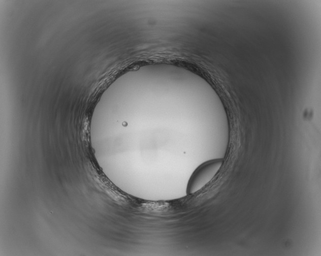 X0000115540480200911061154