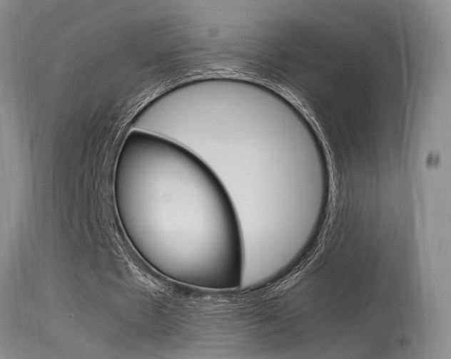 X0000115540481200911061153