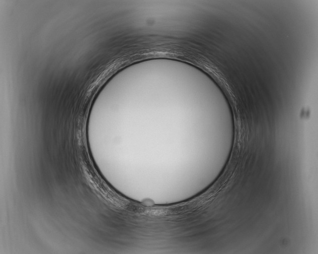 X0000115540482200911061153