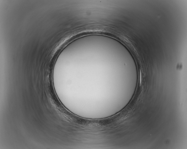 X0000115540483200911061153