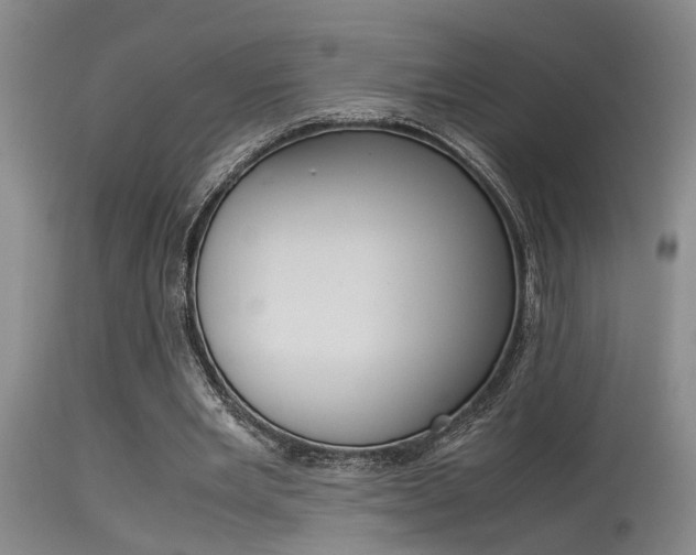 X0000115540485200911061153