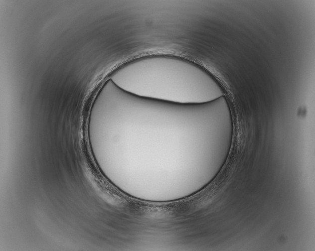 X0000115540486200911061153