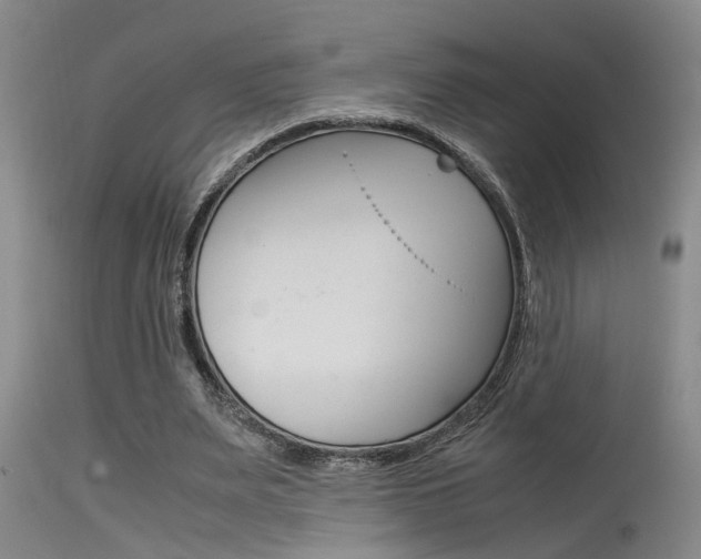 X0000115540487200911061153