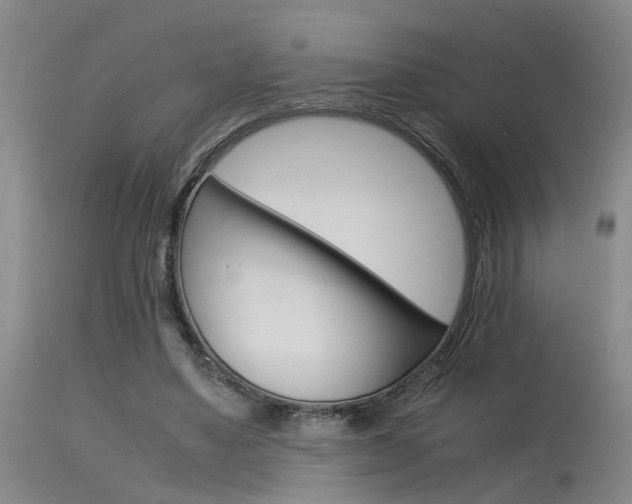 X0000115540491200911061153