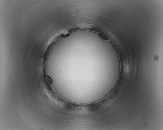 X0000115540492200911061153