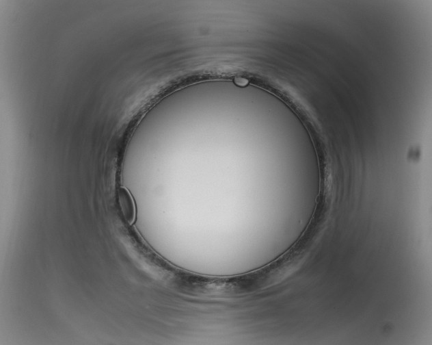 X0000115540493200911061153