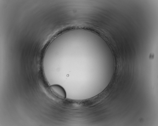 X0000115540496200911061153