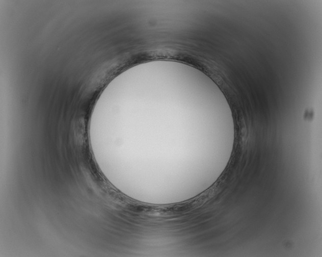 X0000115540498200911061153