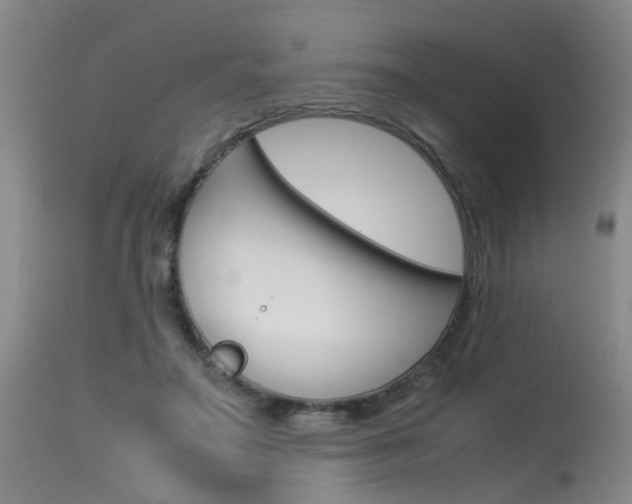 X0000115540499200911061153