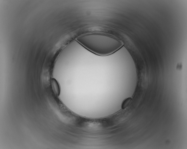 X0000115540500200911061153