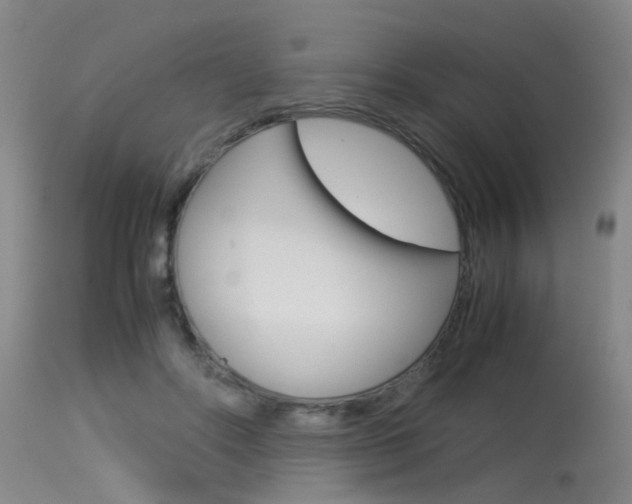 X0000115540502200911061153