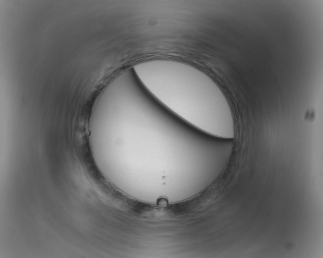 X0000115540503200911061153