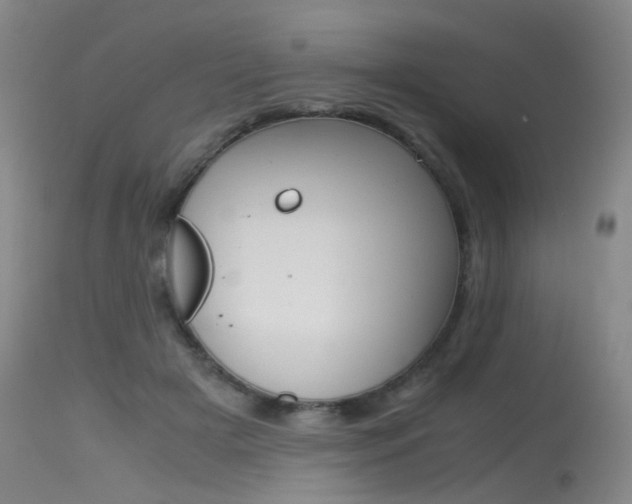 X0000115540505200911061153