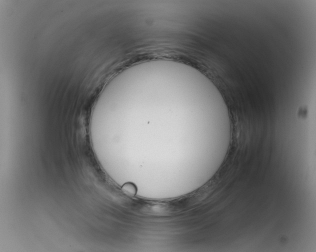 X0000115540506200911061153