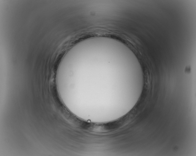 X0000115540507200911061153