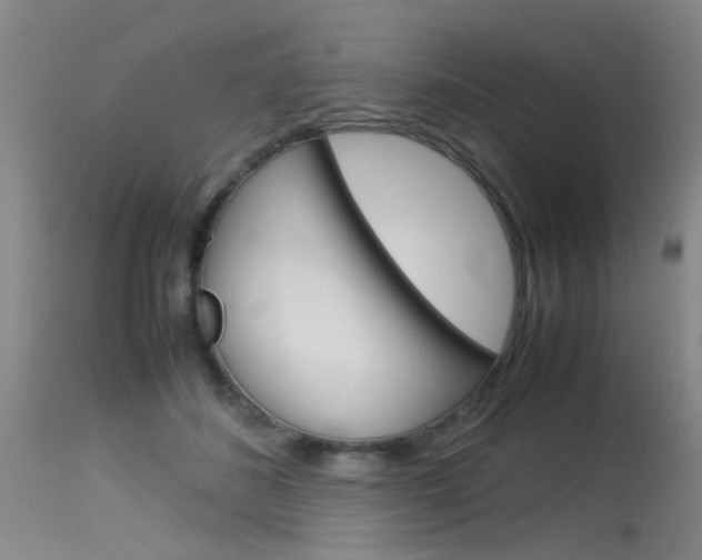 X0000115540508200911061153