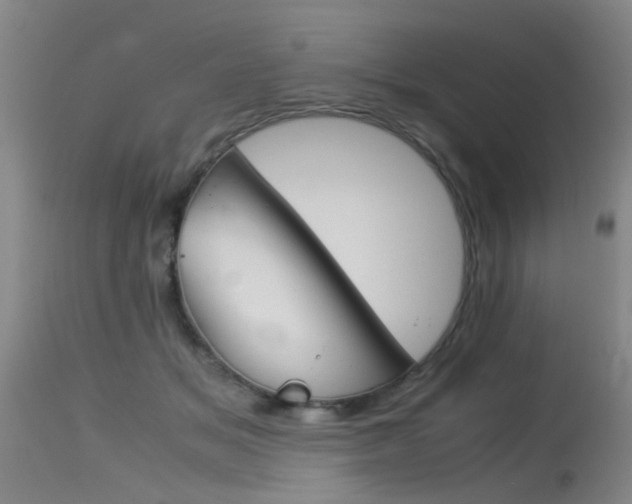 X0000115540509200911061153